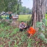 IMG 20250707 WA0211