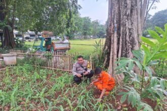 IMG 20250707 WA0211
