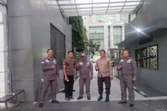 IMG 20250711 WA0201