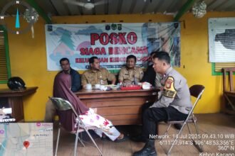 IMG 20250714 WA0141