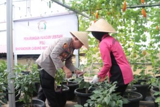 IMG 20250715 WA0078