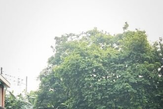 IMG 20250716 WA0251
