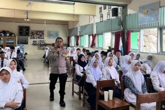 IMG 20250717 WA0233