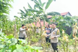 IMG 20250718 WA0154