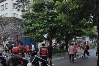 IMG 20250728 WA0228