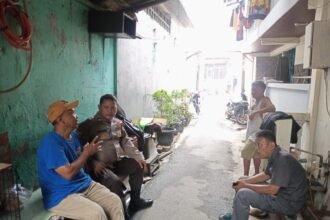 IMG 20250730 WA0253