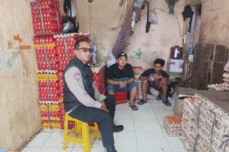 IMG 20250804 WA0100