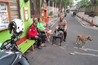 IMG 20250805 WA0020