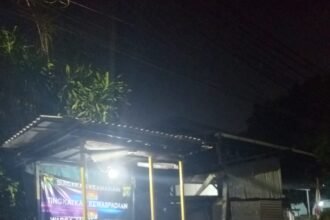 IMG 20250805 WA0201