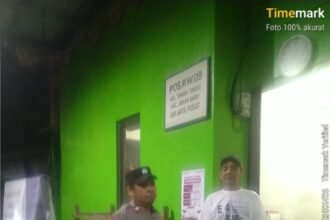 IMG 20250806 WA0205