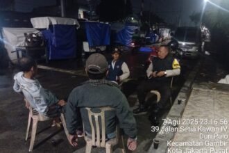 IMG 20250808 WA0013