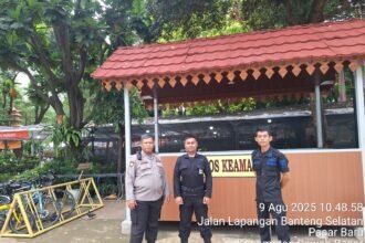 IMG 20250809 WA0097