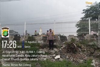 IMG 20250812 WA0012