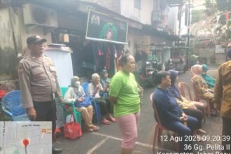 IMG 20250812 WA0102