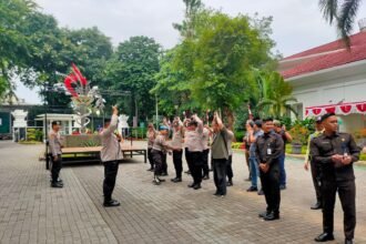 IMG 20250814 WA0202