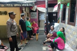 IMG 20250814 WA0237