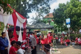 IMG 20250817 WA0233