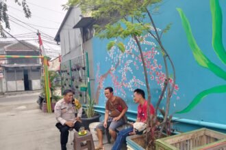 IMG 20250822 WA0224