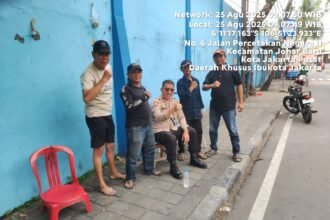 IMG 20250825 WA0061