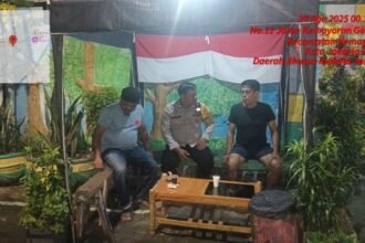 IMG 20250828 WA0229