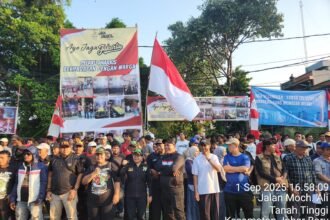 IMG 20250901 WA0195