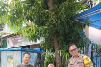 IMG 20250909 WA0135
