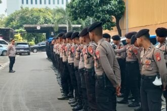 IMG 20250910 WA0250