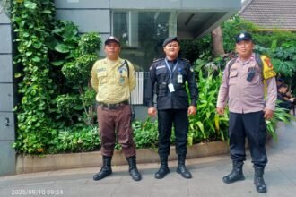 IMG 20250910 WA0252