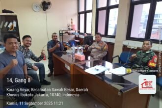 IMG 20250911 WA0157