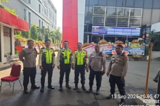 IMG 20250913 WA0113
