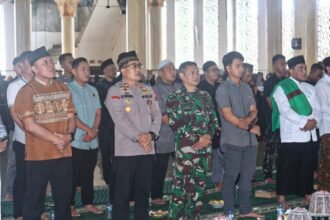IMG 20250915 WA0013