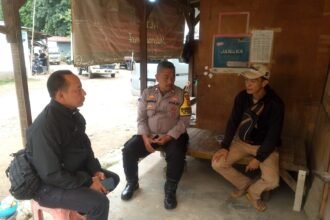 IMG 20250918 WA0217