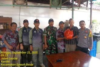 IMG 20250921 WA0218