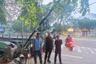 IMG 20250925 WA0042
