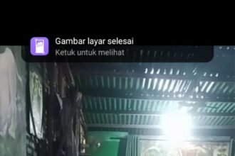 IMG 20251003 WA0154