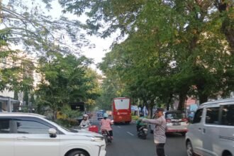 IMG 20251007 WA0150