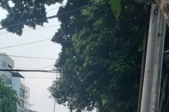 IMG 20251010 WA0061