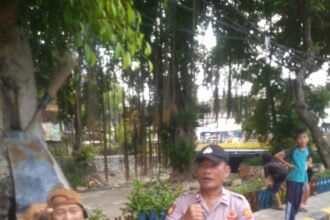 IMG 20251010 WA0184