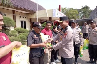 IMG 20251012 WA0098