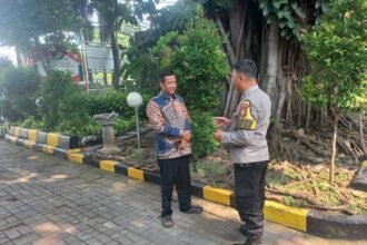 IMG 20251012 WA0148