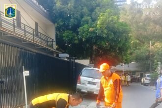 IMG 20251012 WA0292
