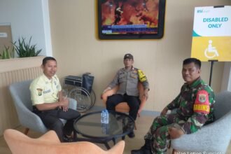 IMG 20251013 WA0158