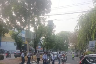 IMG 20251013 WA0194