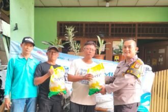 IMG 20251016 WA0234