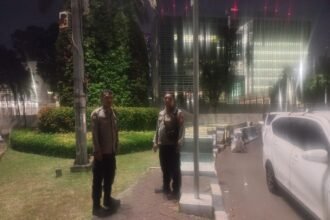 IMG 20251019 WA0231