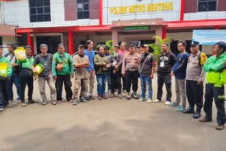 IMG 20251020 WA0254