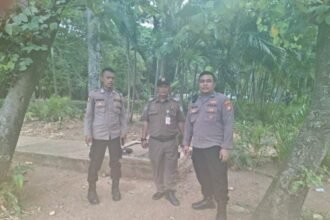 IMG 20251022 WA0029