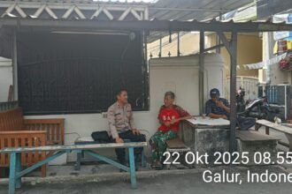 IMG 20251022 WA0130