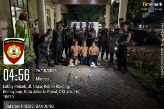 IMG 20251026 WA0098