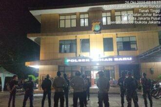 IMG 20251026 WA0126
